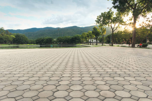 Best Affordable Driveway Pavers  in La Marque, TX